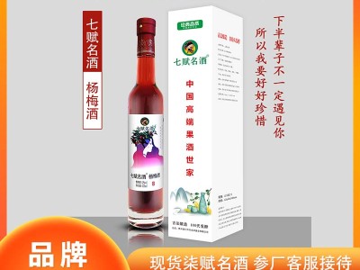 七赋名酒--1甁装杨梅酒