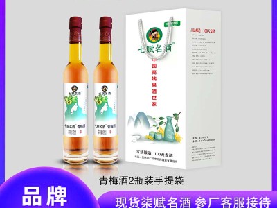 七赋名酒-2瓶装 青梅酒