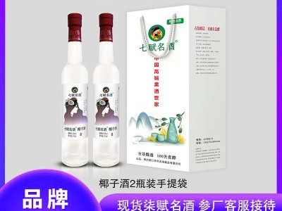 七赋名酒-2瓶装 椰子酒