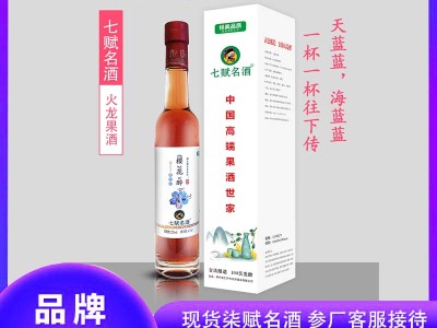 七赋名酒-1瓶装 火龙果酒