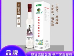 七赋名酒椰子酒：微醺里的热带风情，舌尖上的果酒新宠