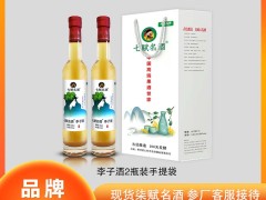 把李园的清酸酿进 100 天：七赋名酒李子酒里的夏末柔甜